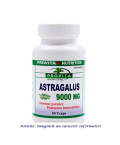 Astragalus 60 capsule Provita Nutrition, image 