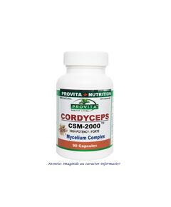 Cordyceps 2000 mg 90 capsule Provita Nutrition, image 