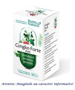 Ginkgo Forte Plus 30 capsule Rotta Natura, image 