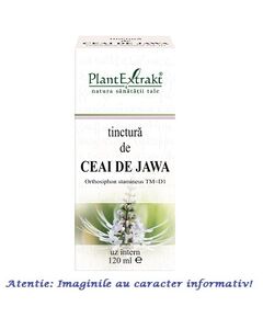 Tinctura de Ceai de Jawa 120 ml PlantExtrakt, image 