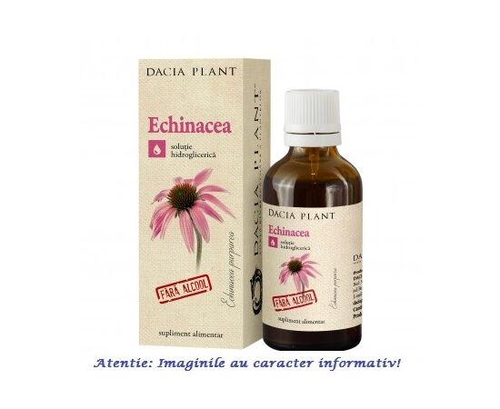 Tinctura de Echinacea Fara Alcool 50 ml Dacia Plant, image 