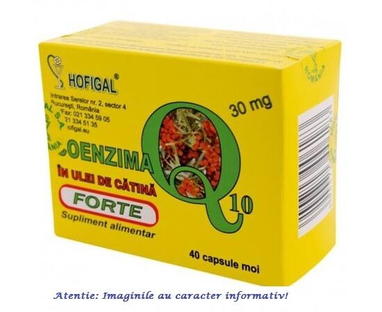 Coenzima Q10 in Ulei de Catina Forte 30 mg 40 capsule Hofigal, image 